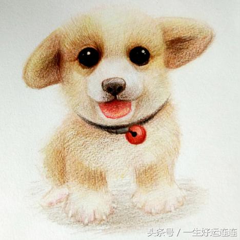 成都市囍兔火锅的长尾关键词有什么