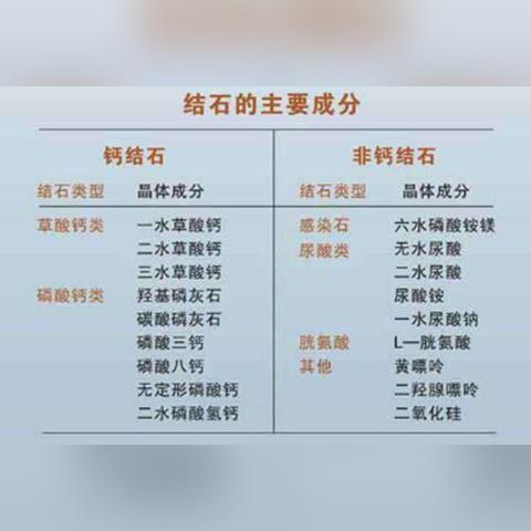 肾结石患者日常食谱：健康饮食指导-第2张图片-其人生活百科