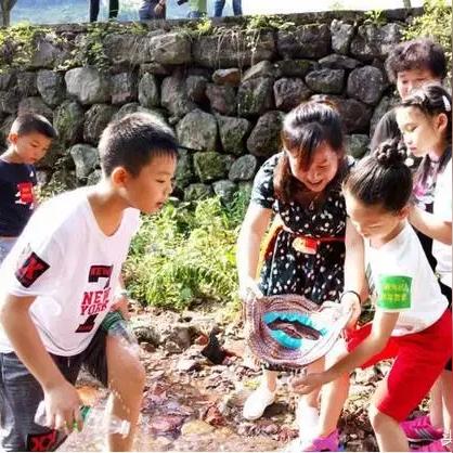 宁波市什么时候放暑假的