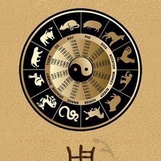 八字伤官旺适合从事什么工作(八字伤官旺代表什么)