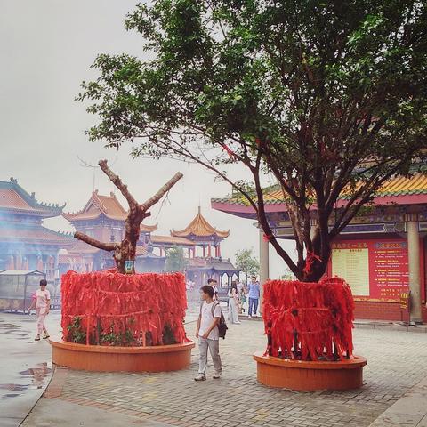 东莞市七月哪里好玩