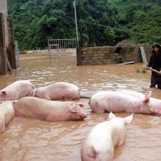 为什么南方近期暴雨