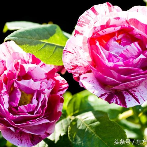 一眼看透你家风水的命理玄机