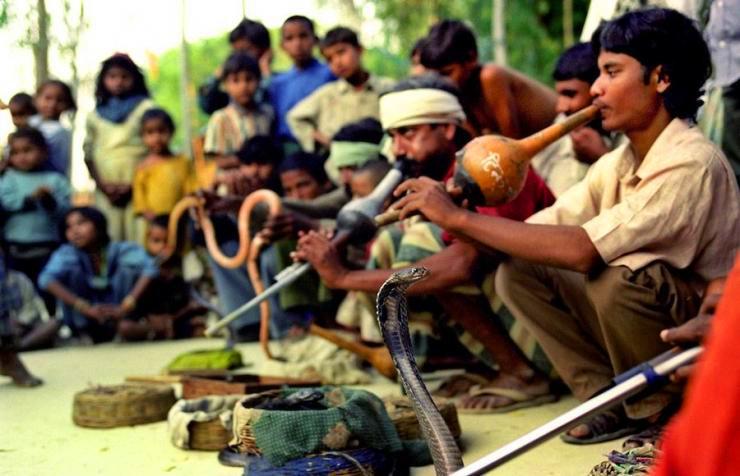 做梦梦到被蛇咬是不是有什么预兆啊？解读梦境中的神秘信号