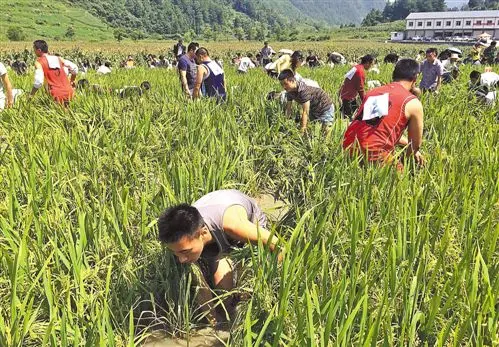 什么叫管道收入 什么是管道收入