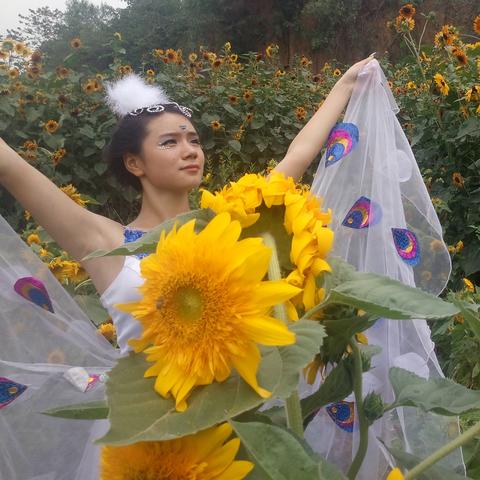 昆明市土壤普查招标的长尾关键词有哪些