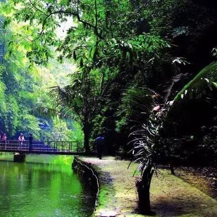 南宁市怎么去贵州机场大巴