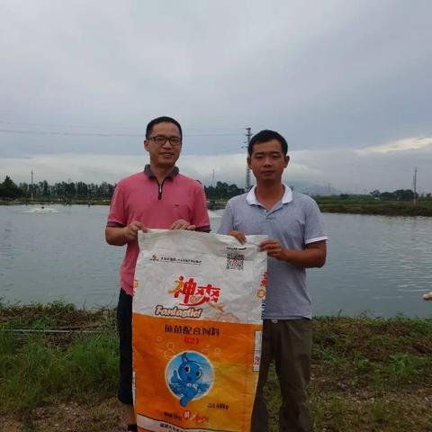 南宁附近鱼苗的相关长尾关键词有哪些