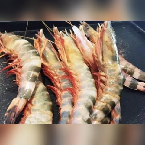 哈尔滨买蟹相关长尾关键词有哪些