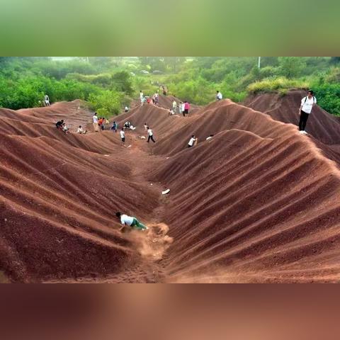 佛山市哪里有收购纸箱的