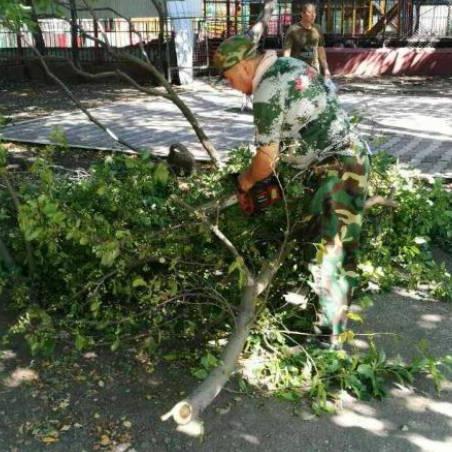 哈尔滨雷电橙色预警相关长尾关键词有哪些