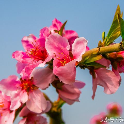 一眼看透你家风水的命理玄机
