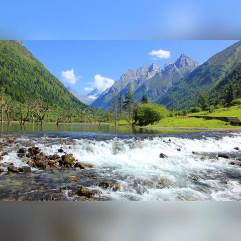 今期生肖一三开,老牛骑马倒着走指打代表准确生肖,释义成语精选解释