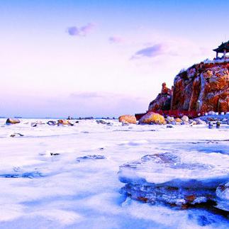 天津西南哪个房子最好租