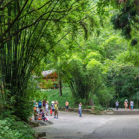 黄山和福建哪个发达