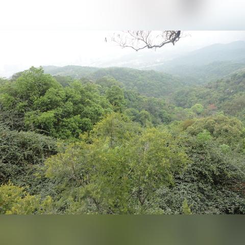 广州市云台花园什么时候建设