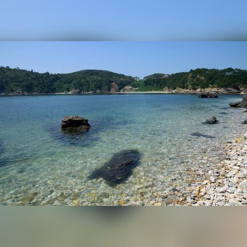 大连市去皮口港坐什么车