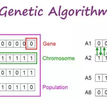 我的世界 java（我的世界，Java的魅力与挑战）