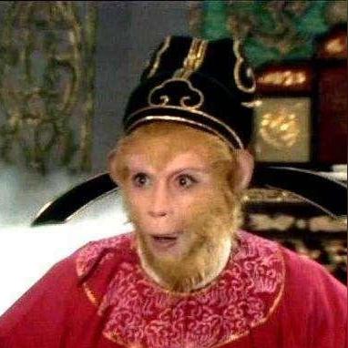 武汉天马太白集团网的长尾关键词有哪些