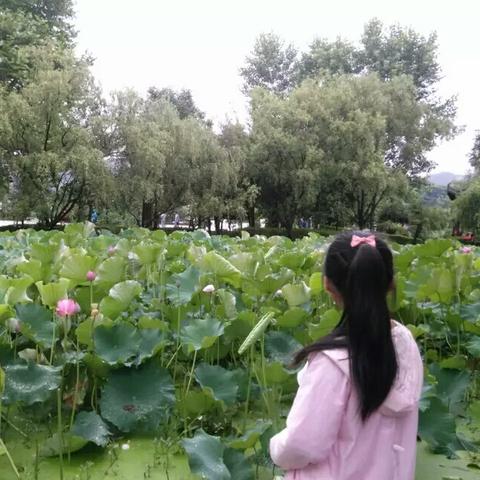 武汉市青石巷是哪个区