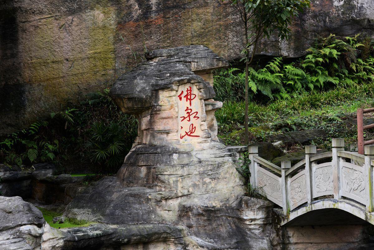 洞窝app拉新后台(饥荒兔子窝怎么利用)