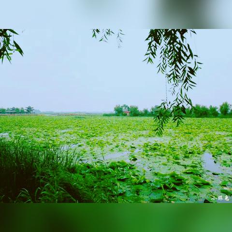 周口市淮阳婚纱照的长尾关键词有什么