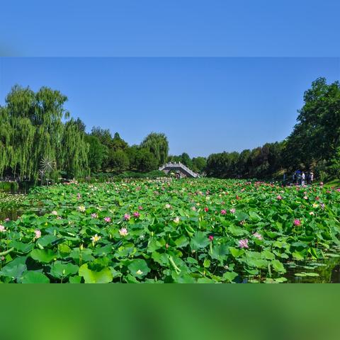杭州市和北京面积哪个大