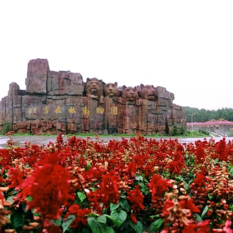 哈尔滨市这个区怎么样