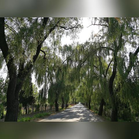 济南市二手手机怎么样