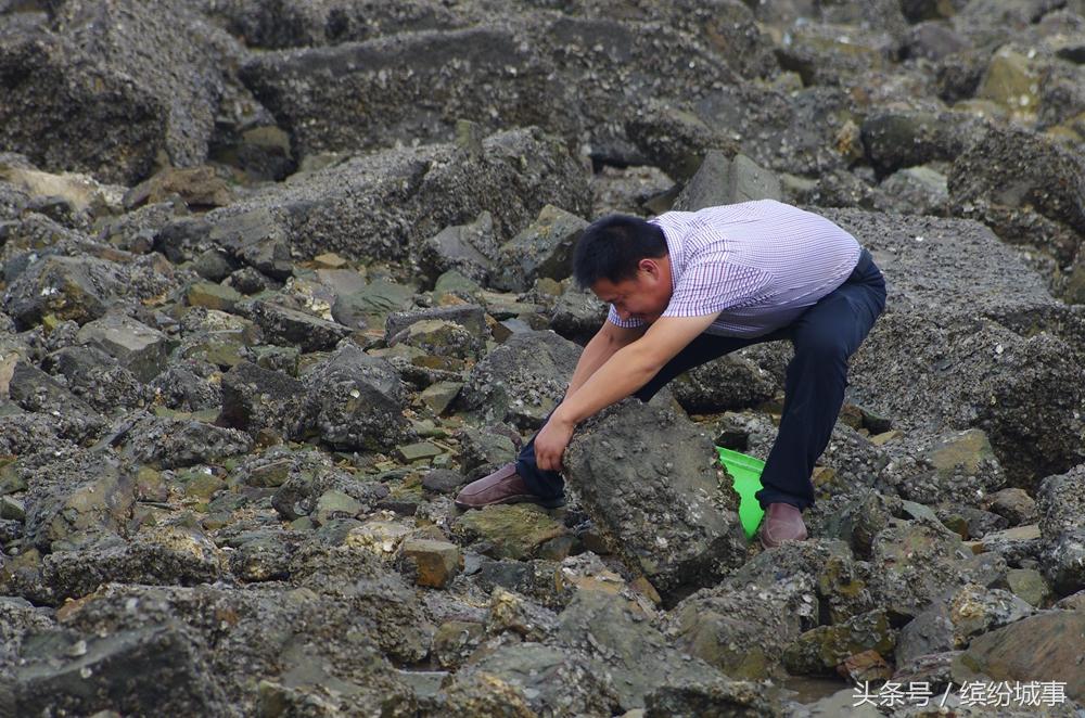 日照向日贝壳博物馆