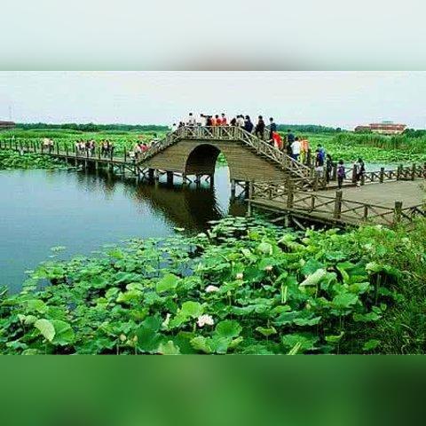 江苏苏州市哪个区好