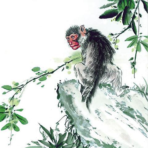 2月7日生肖运势排行彷(2月7号运势)