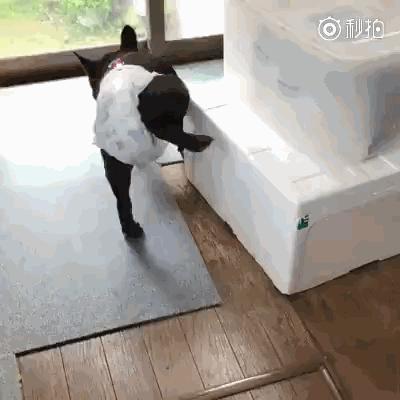 揭秘梦境中的尴尬瞬间,为何会梦到小便并真的在床上解决了? 揭秘梦境中的尴尬瞬间,为何会梦到小便并真的在床上解决了?