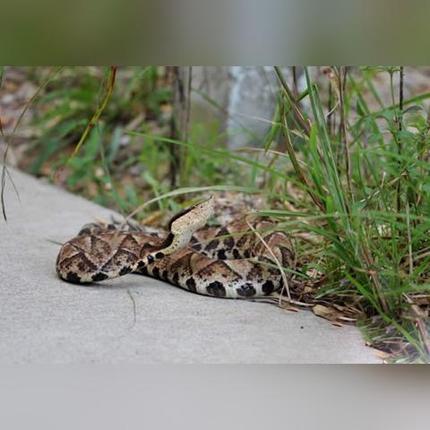 福建靠近湖南哪个城市
