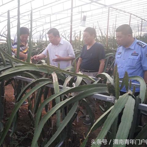 石家庄市移民中介的长尾关键词有哪些