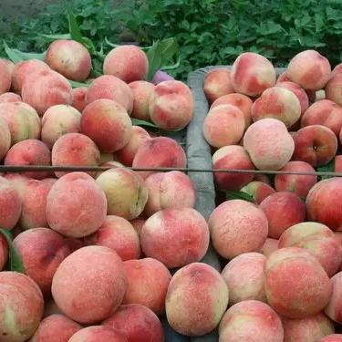 贵阳今天天气怎么样