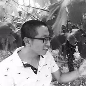 合肥周边租地相关长尾关键词有哪些