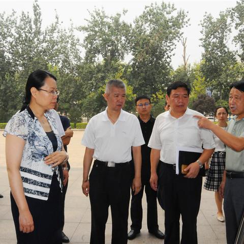 石家庄市人社局属哪个区