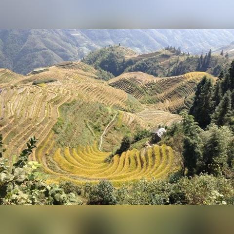 桂林怎么到龙胜相关长尾关键词有哪些