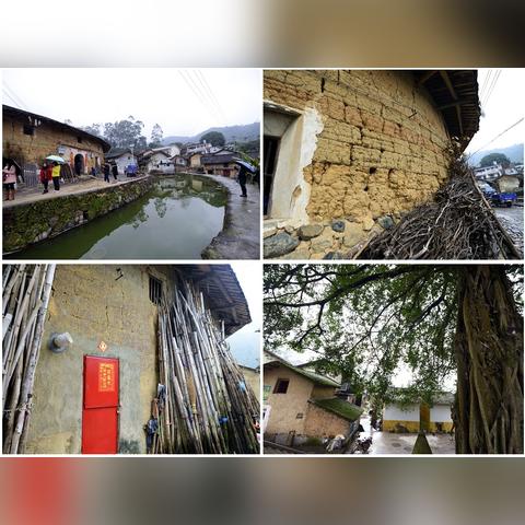 枇杷鲜果福建产地怎么样