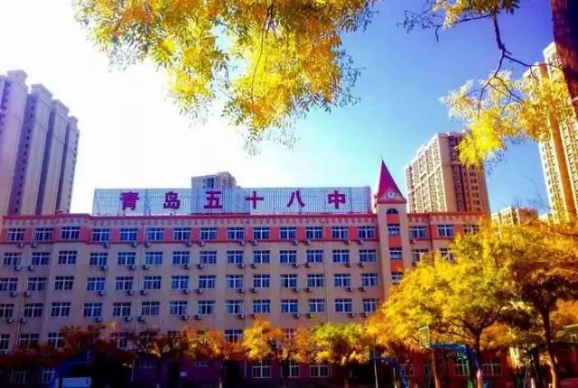 中学排行榜怎么查询：全面解析与指南