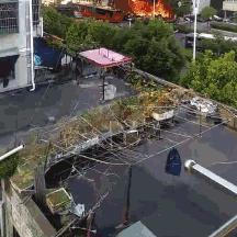 2025.11.13杭州今日气温变化情况