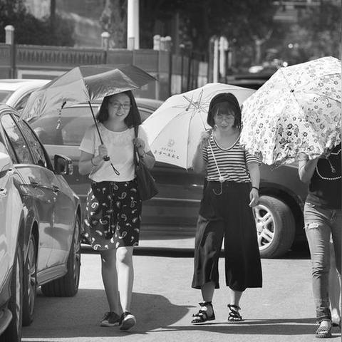 西安市29号限什么号