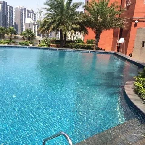 赣州市成人游泳馆在哪里