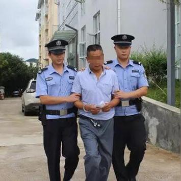 石家庄市明天限什么号吗
