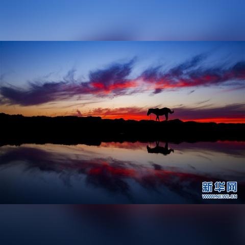 新疆空气质量怎么样