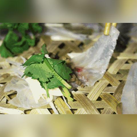 请大家用一句话形容南宁有多热？