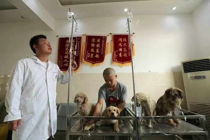 如何给宝如何给宝宝起名（宝字辈怎么取名）