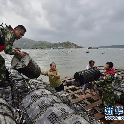 海棠 济南 台风相关长尾关键词有哪些