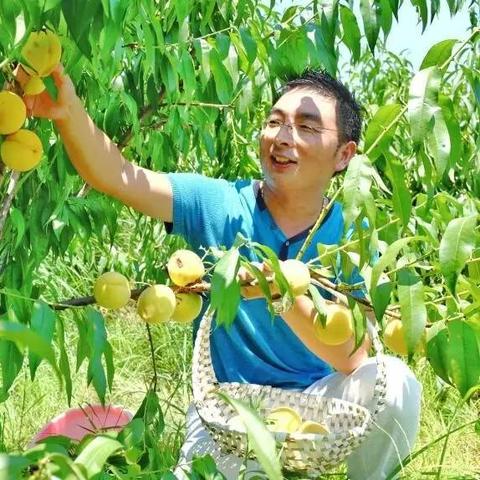 北京和长沙面积对比？
